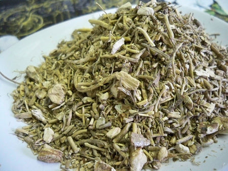 Calamus root (acorus calamus) from Glenbroook Farms Herbs