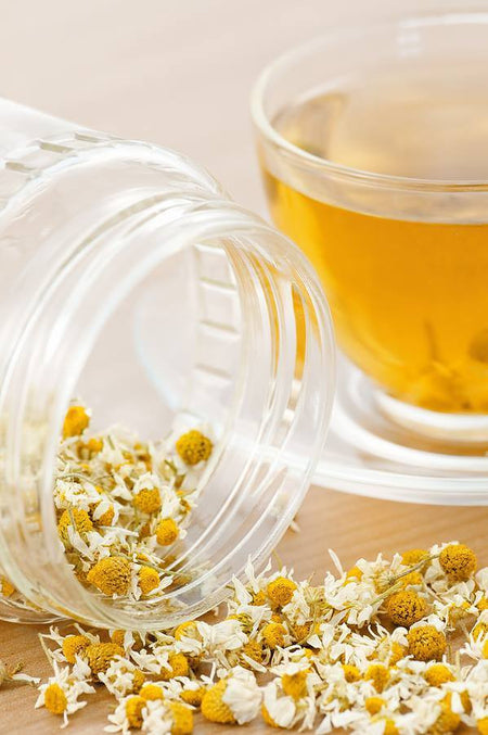 Chamomile Tea from www.glenbrookfarm.com