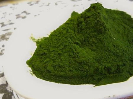 chlorella powder 