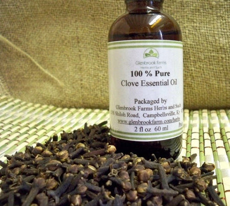 Clove Essential Oil from Glenbroook Farm herbs and such