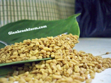 Fenugreek Seed from beautiful www.glenbrookfarm.com