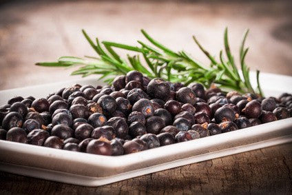 Juniper Berries from Glenbrook Farms Herbs