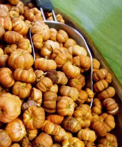 Putka Pods from Glenbrook Farms Herbs and Such