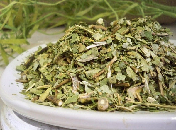 Sassafras Leaf c/s (sassafras albidium) – Glenbrook Farms Herbs