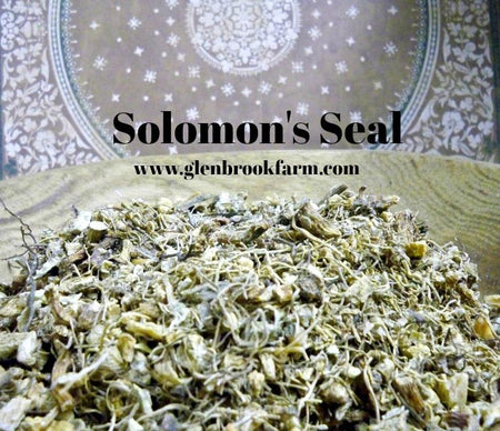 solomon's Seal from www.glenbrookfarm.com