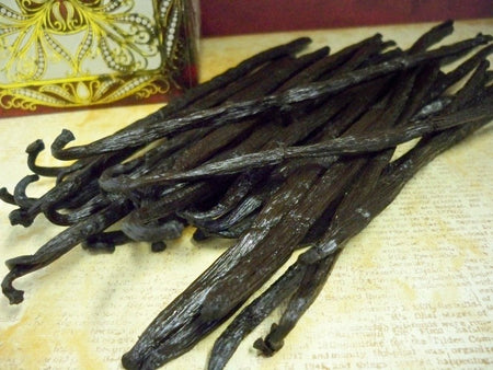 vanilla beans from Glenbrook Farms Herbs and Such