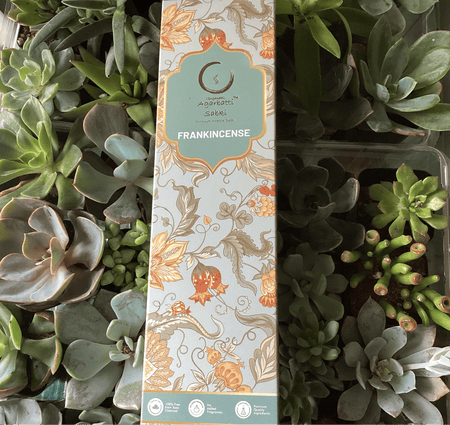 box of frankincense sticks, 12 per box. beautify package , gift quality 