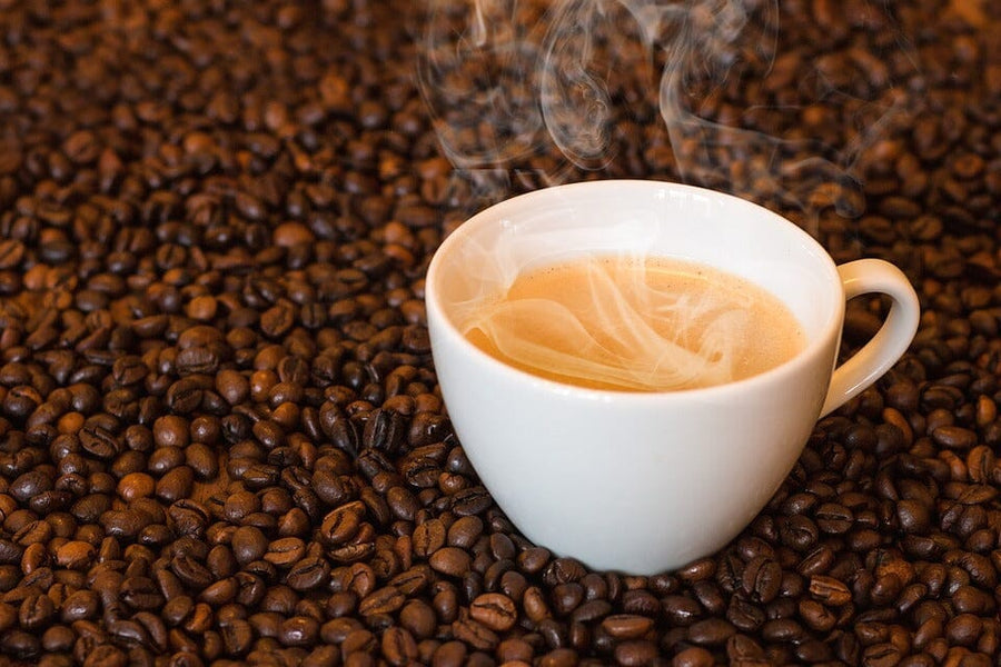 cup of coffee sitting on coffee beans