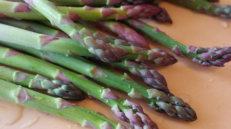 Fresh asparagus spears 