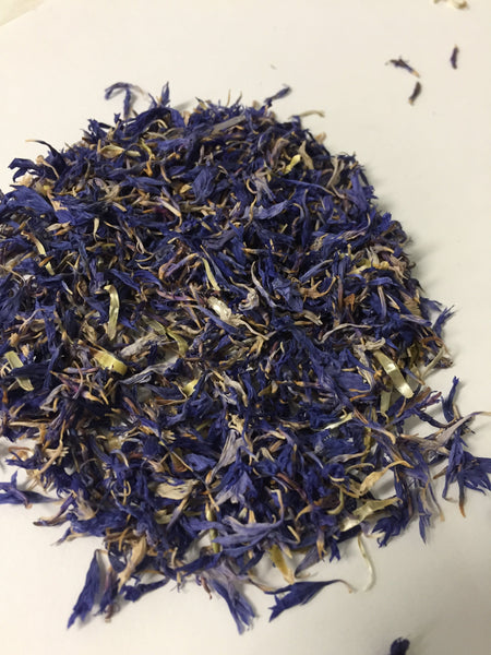 Blue Cornflowers on a white background.