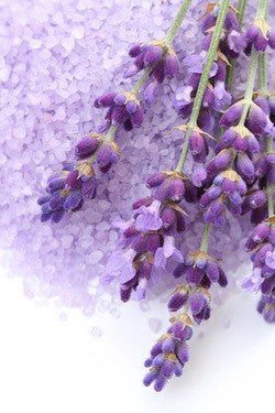 sprigs of lavender