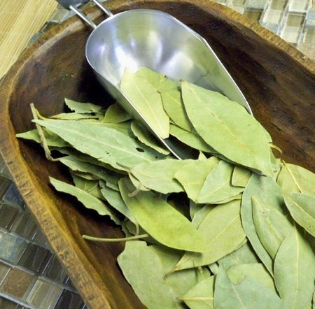 Bay leaf whole or ground from Glenbrook Farms Herbs