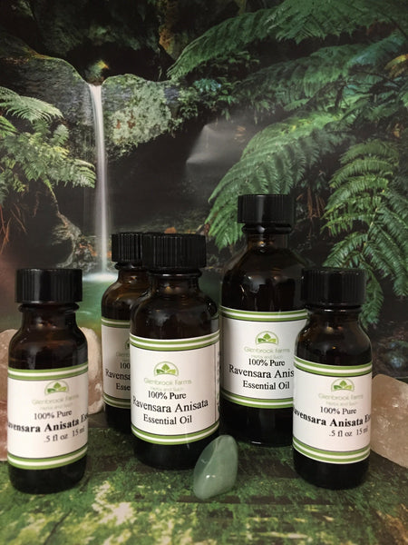 Ravensara Anisata essential oil