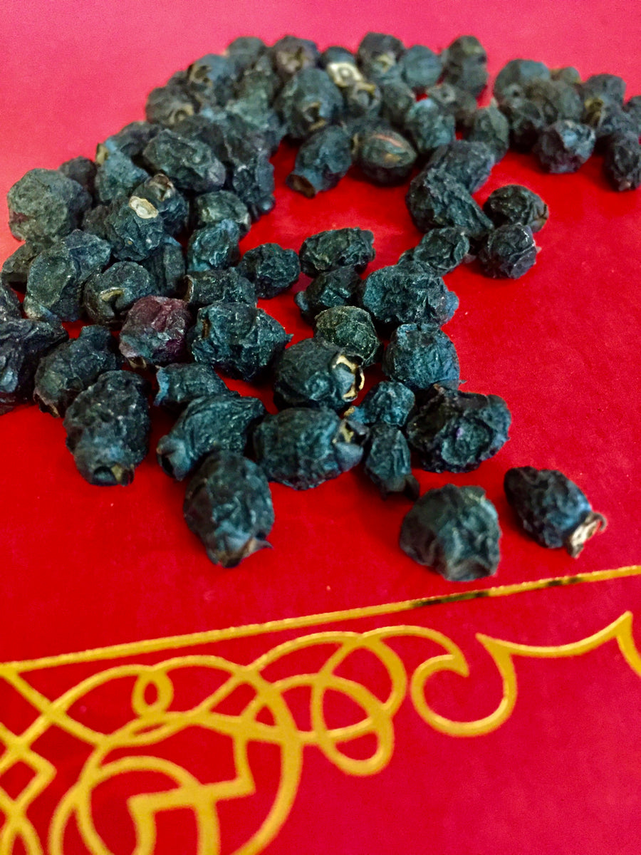 dried bilberries on a red background from www.glenbrookfarm.com