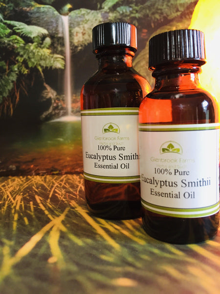 Eucalyptus Smithii essential oil in bottles