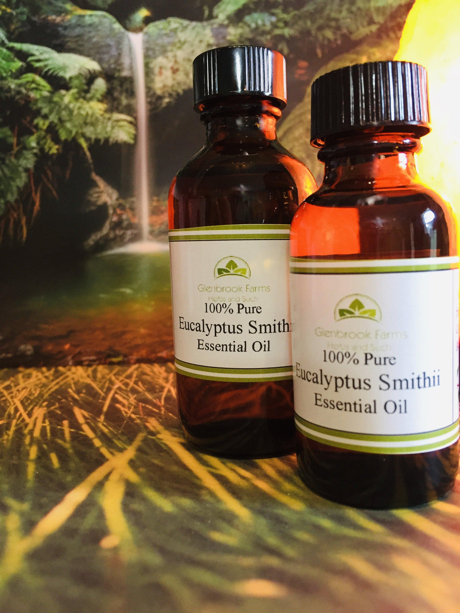 Eucalyptus Smithii essential oil in bottles