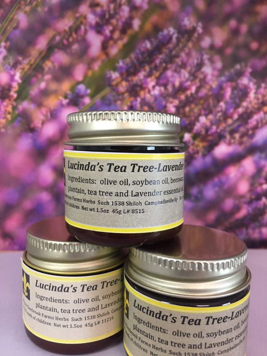 jar of tea tree lavender salve
