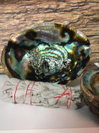 Abalone Smudging Shell