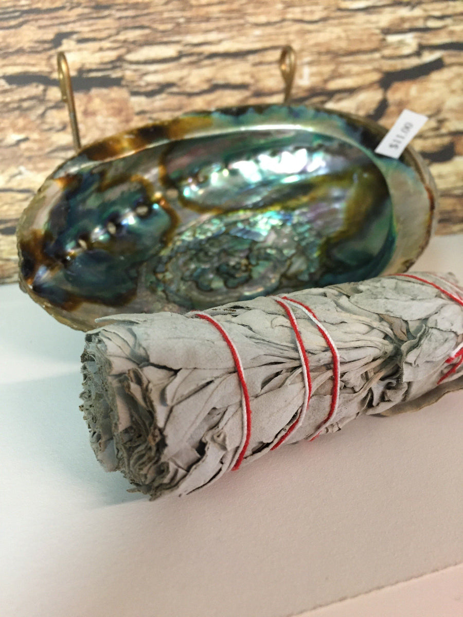 Abalone Smudging Shell