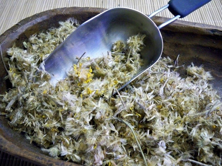 Arnica Flowers organic bulk from Glenbrook Farms Herbs and Such