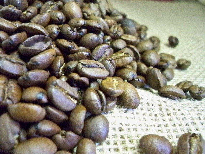 Bali Blue Moon Certified Organic Fair Trade Coffee Beans from glenbrookfarm.com