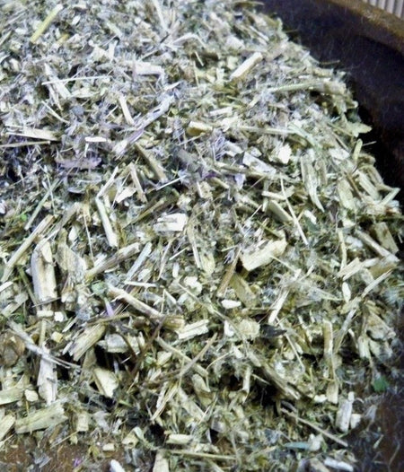Boneset herb found at www.glenbrookfarm.com Make some boneset tea