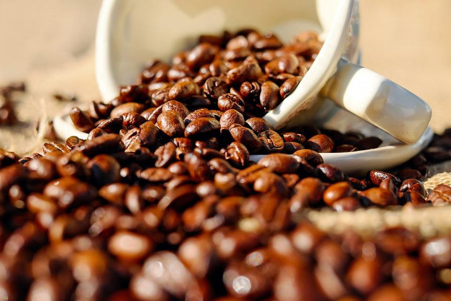 closeup of coffee beans spilling out of a cup