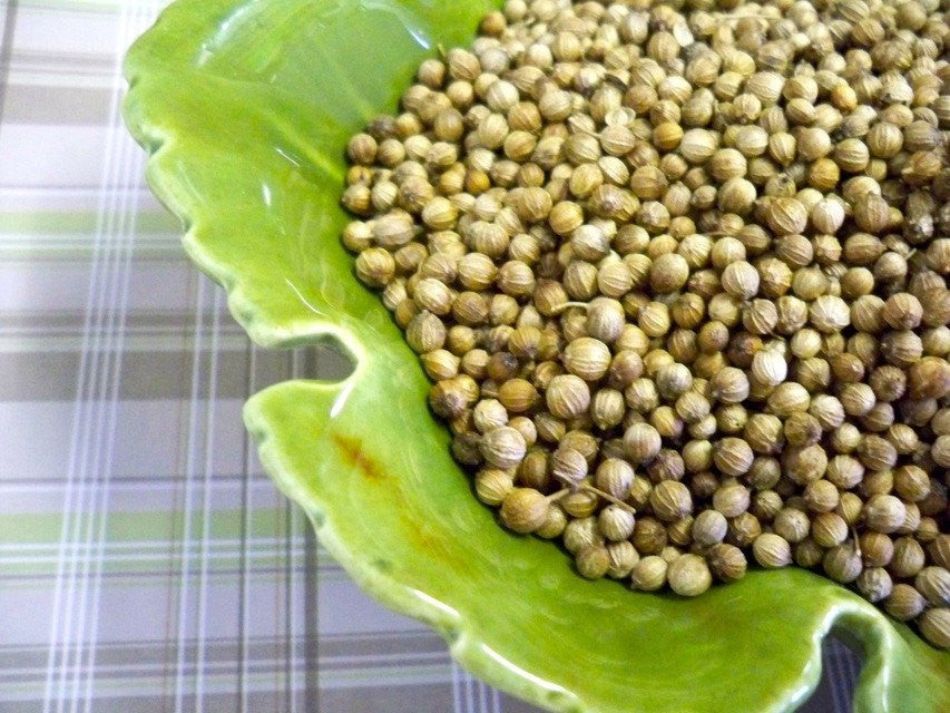 coriander seed