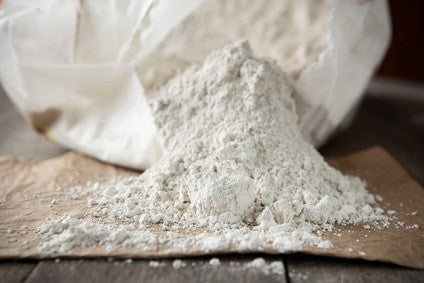 diatomaceous earth 