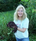 Elder Berries from Glenbrook Farms Herbs and Such