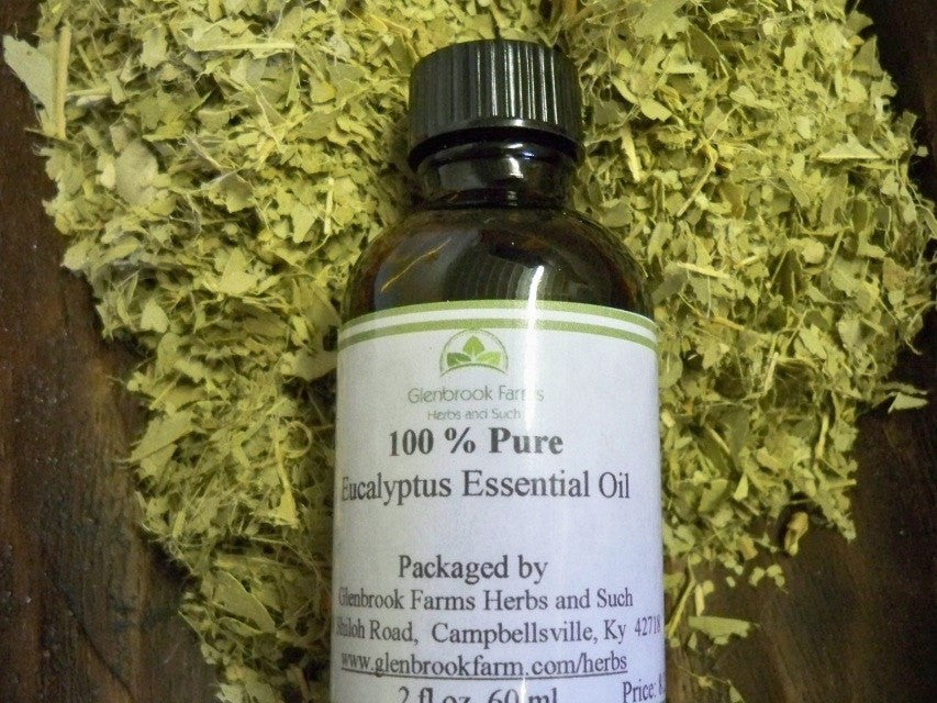 Eucalyptus Essential oil from glenbrookfarm.com