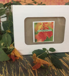 bar of jewel weed soap