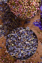 lavender buds from Glenbrook Farms Herbs