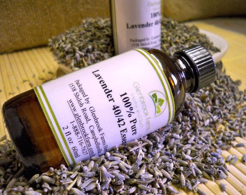 lavender essential oil from glenbrookfarm.com