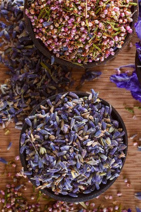 can you plant dried lavender buds Lavender Buds Whole Dried From France – Glenbrook Farms Herbs and Such