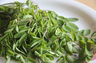 fresh moringa leaf