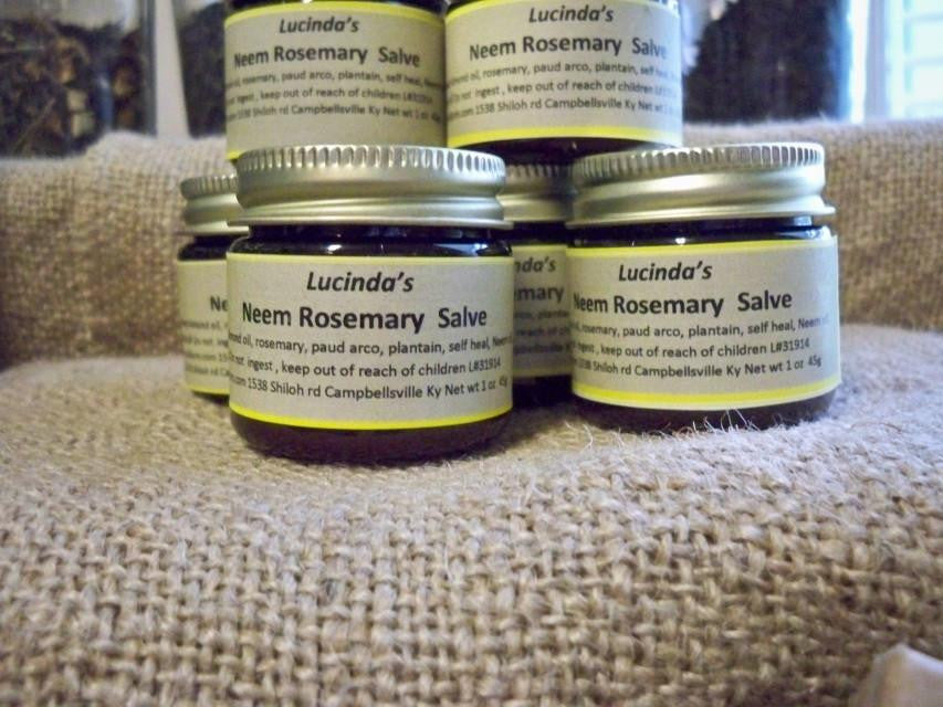 Neem Rosemary Salve from www.glenbrookfarm.com