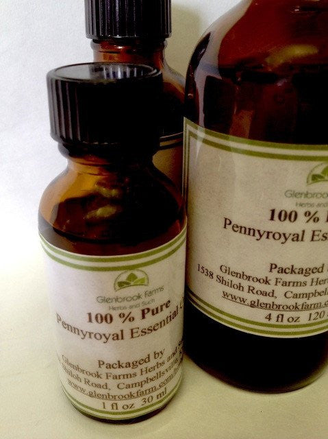 Pennyroyal Essential Oil from glenbrookfarm.com suppliers of pure essential oils