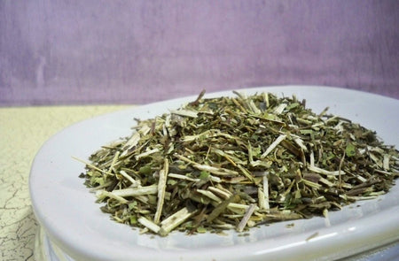 Skullcap Herb, Blue (scutellaria lateriflora) from Glenbrook Farms