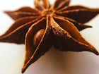 large picture of a star anise.