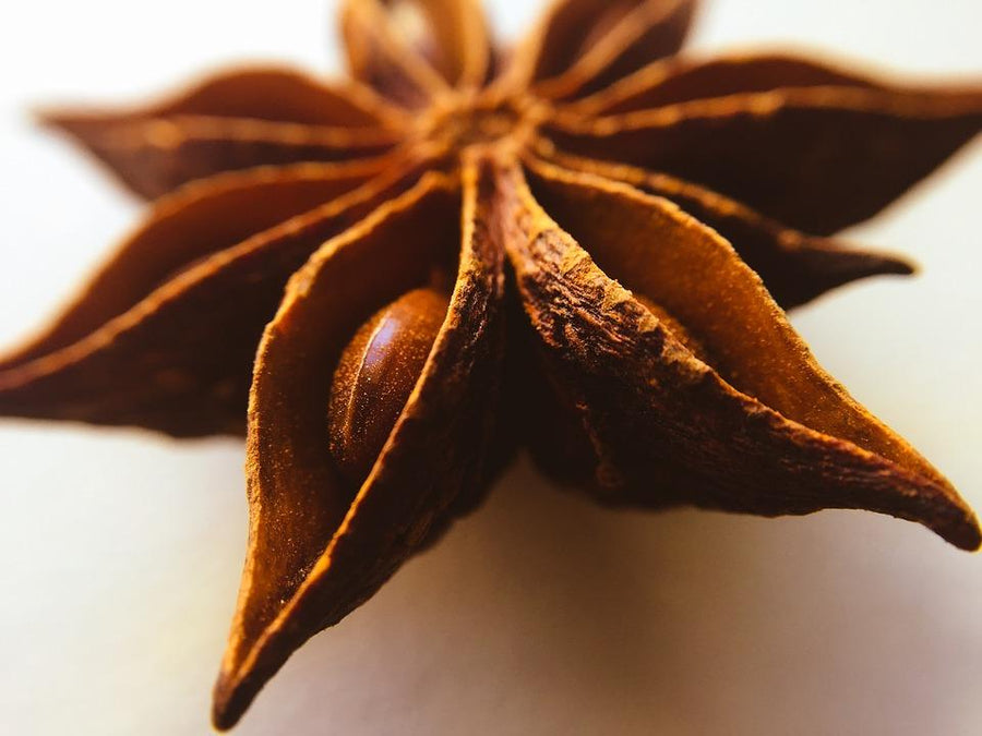 large picture of a star anise.