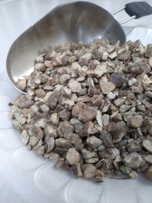 Stone Root (Collinsonia canadensis) – Glenbrook Farms Herbs and Such