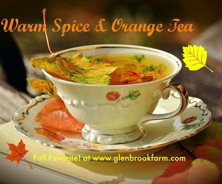 Warm spice and orange tea in a cup