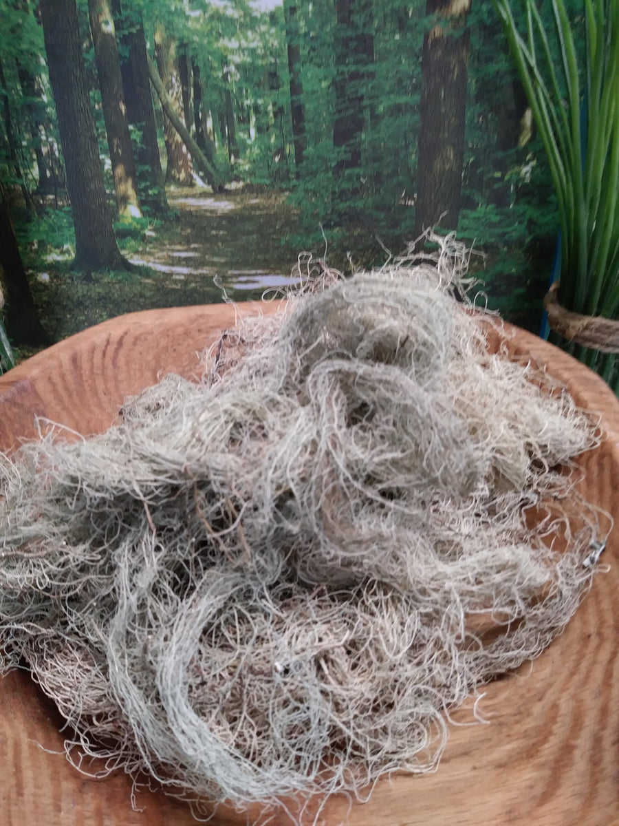 0ne ounce usnea is shown in picture. gray to light green