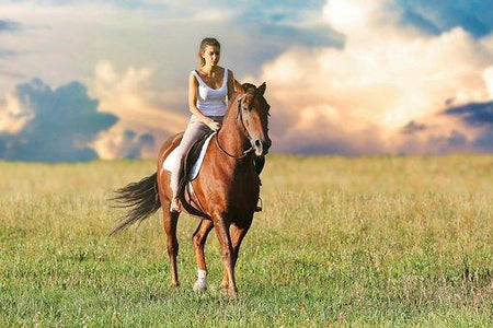 Girl riding a horse